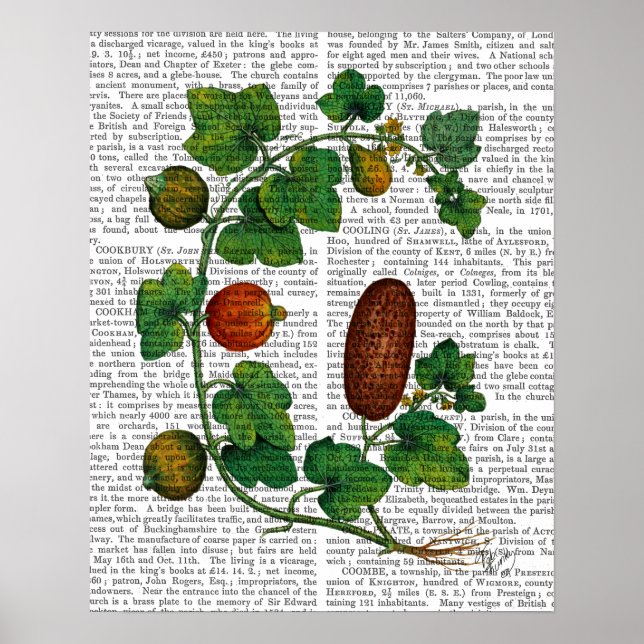 Squash Vine 3 Poster (Front)