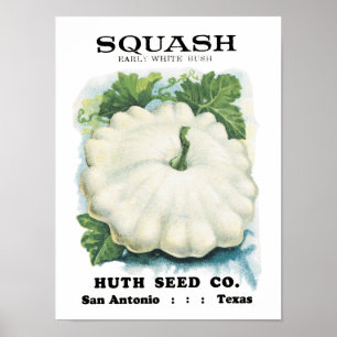 Squash Vintage Seed Packet Poster