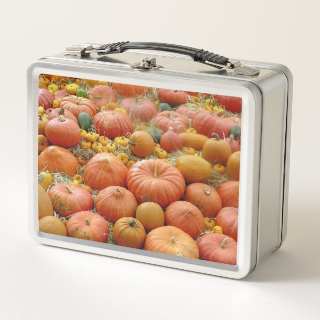 Squashes Galore Metal Lunch Box (Front)