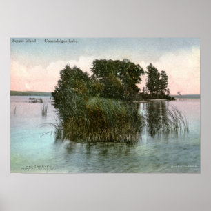 Squaw Island, Canandaigua Lake, NY Vintage Poster