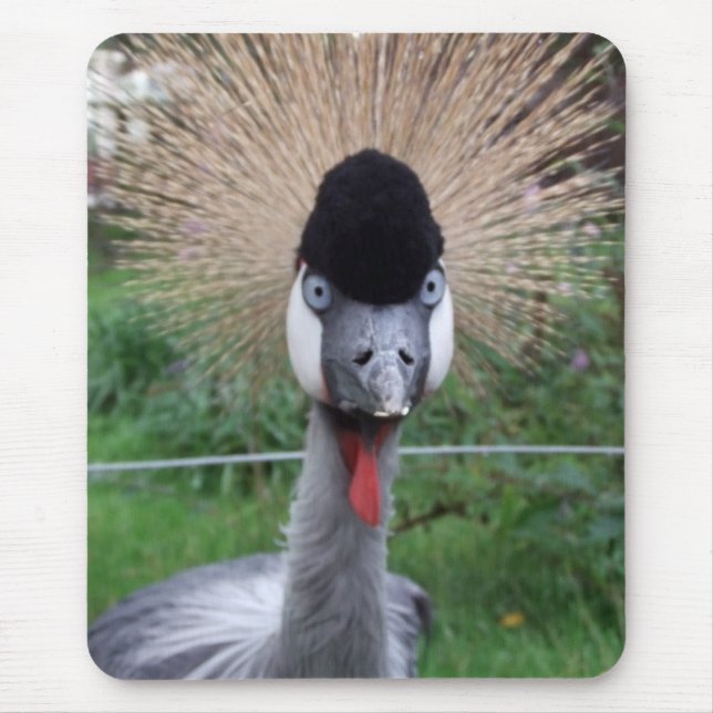 Squawk! Mouse Mat (Front)