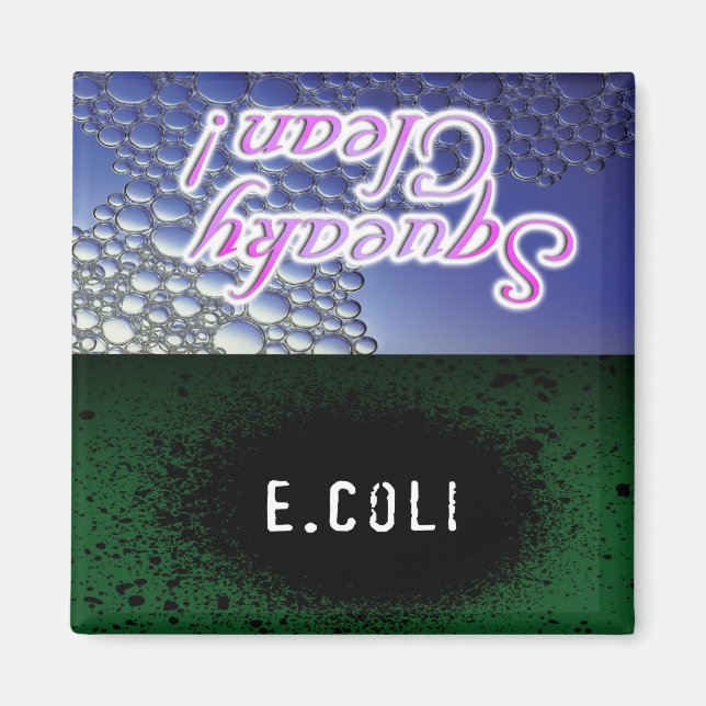 Squeaky Clean/E.Coli Dishwasher Magnet (Front)