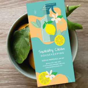 Squeaky Clean Marketing Rack Card