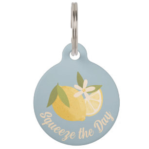Squeeze the Day Citrus blue personalised Dog Pet Tag