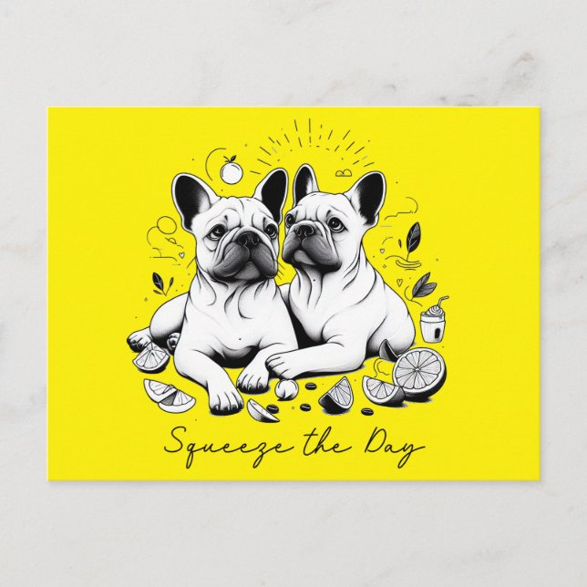 Squeeze The Day Holiday Postcard (Front)