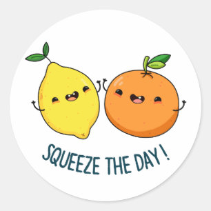 Squeeze The Day Positive Fruit Pun  Classic Round Sticker