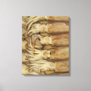 Squid - Calamari Canvas Print