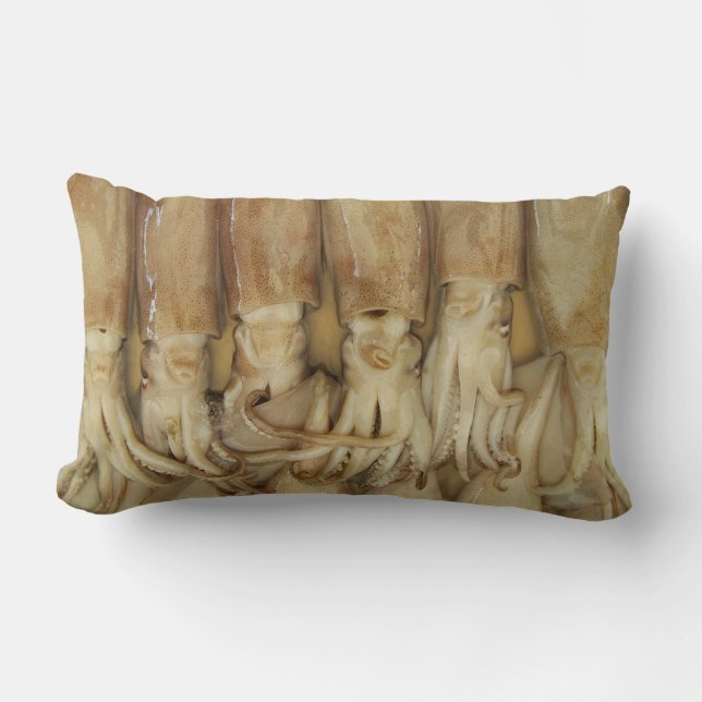 Squid - Calamari Lumbar Cushion (Front)