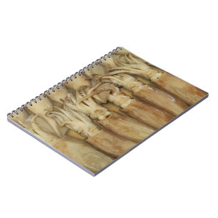 Squid - Calamari Notebook