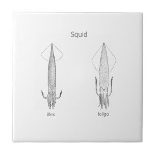 Squid Logo (line art) Tile