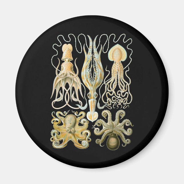 Squid & Octopus Magnet (Front)