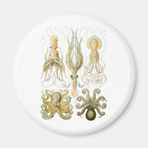 Squid & Octopus Magnet