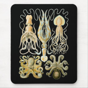 Squid & Octopus Mouse Mat