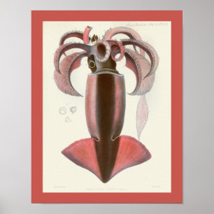 Squid Purple Cephalopod Sea Creatures Art Print