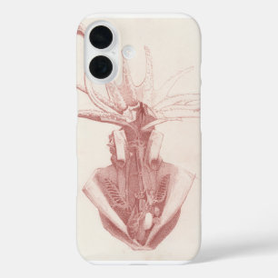 Squid Vintage Nautical Art iPhone 16 Case