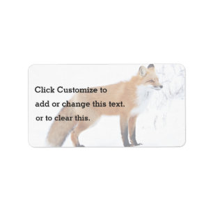 Squinting Fox Standing In Snow Label