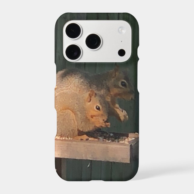 Squirrel (Back)