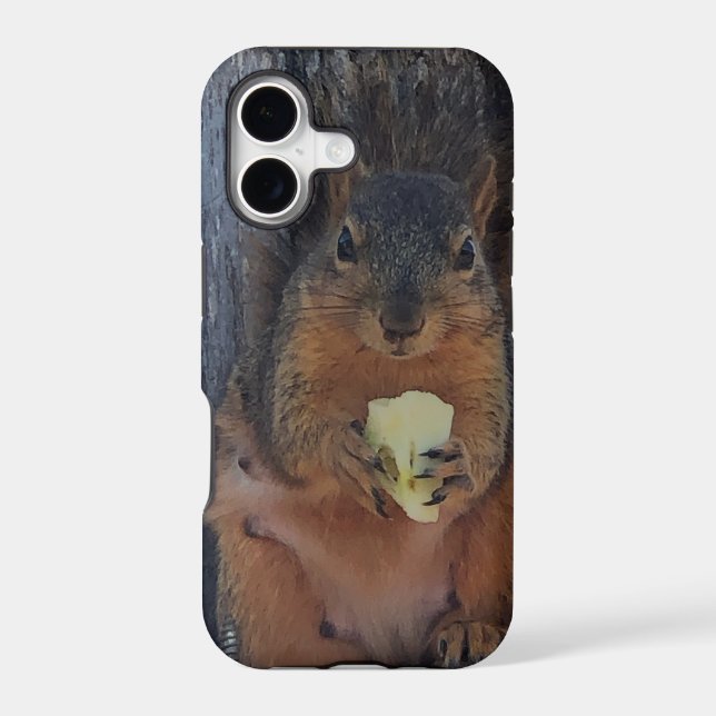 Squirrel  (Back)
