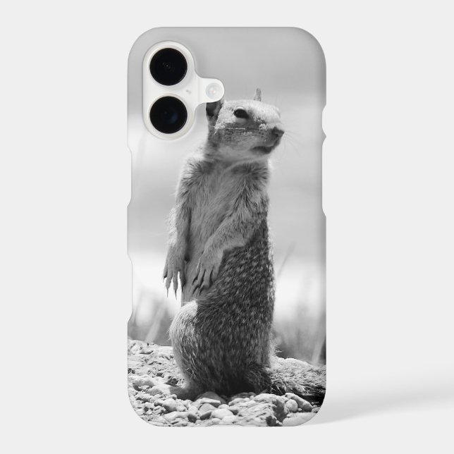 Squirrel (Back)