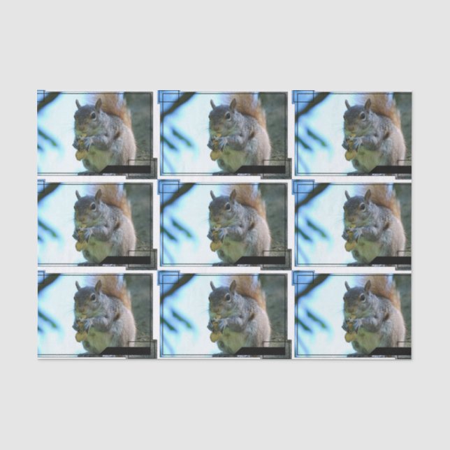 squirrel-13.jpg tissue paper (Front)