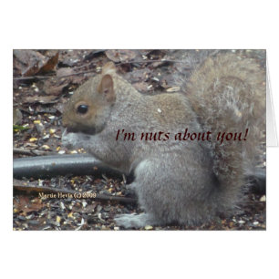 Squirrel (1a) - I'm Nuts About You! - Customisable