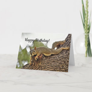Squirrel 2 Birthday Card