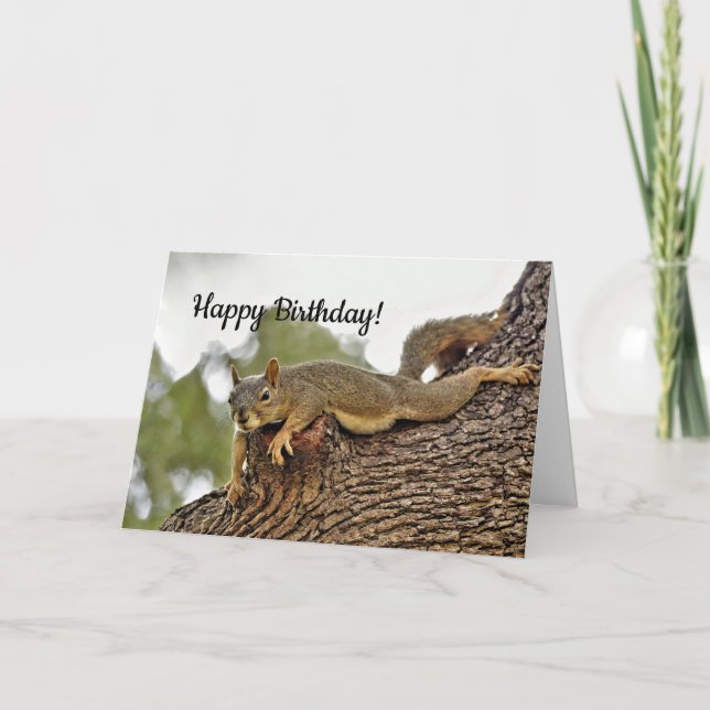 Squirrel 2 Birthday Card (Front)