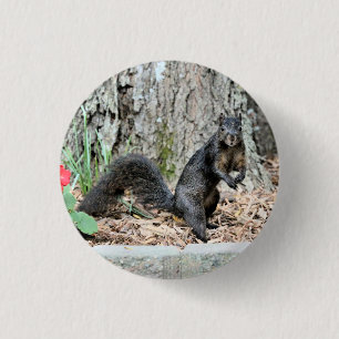 Squirrel 3 Cm Round Badge