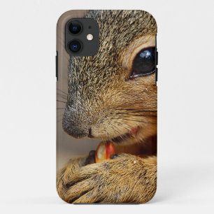 Squirrel 5 iPhone 11 case