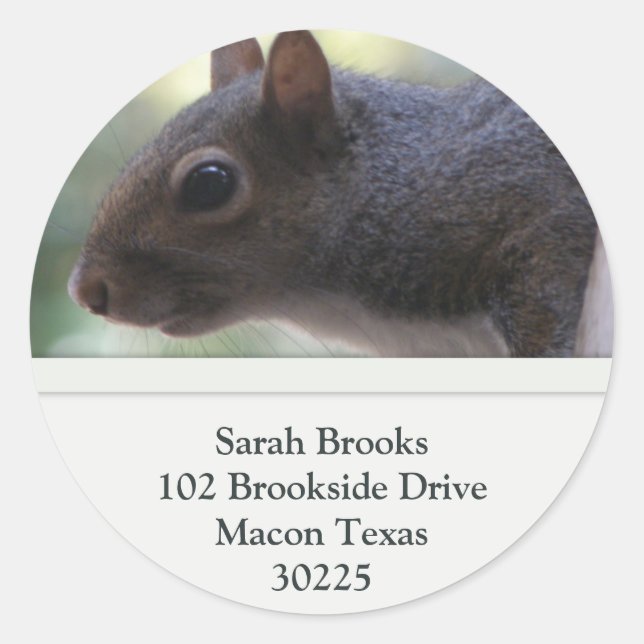 Squirrel Address Labels (Front)