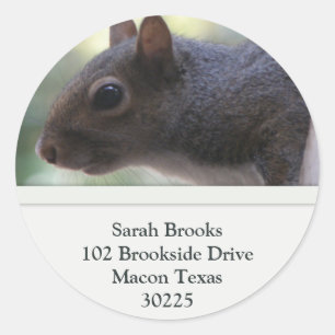 Squirrel Address Labels