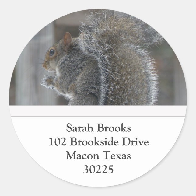 Squirrel Address Labels (Front)