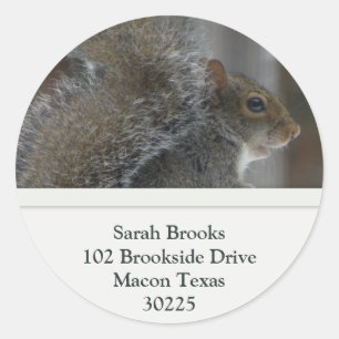 Squirrel Address Labels