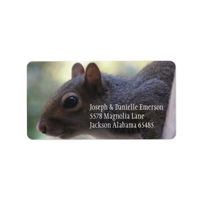 Squirrel Address Sticker (Front)