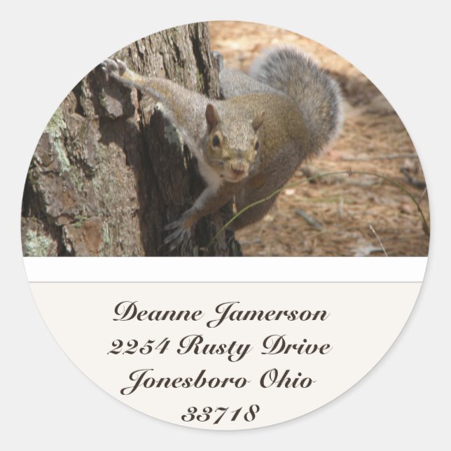 Squirrel Address Stickers (Front)