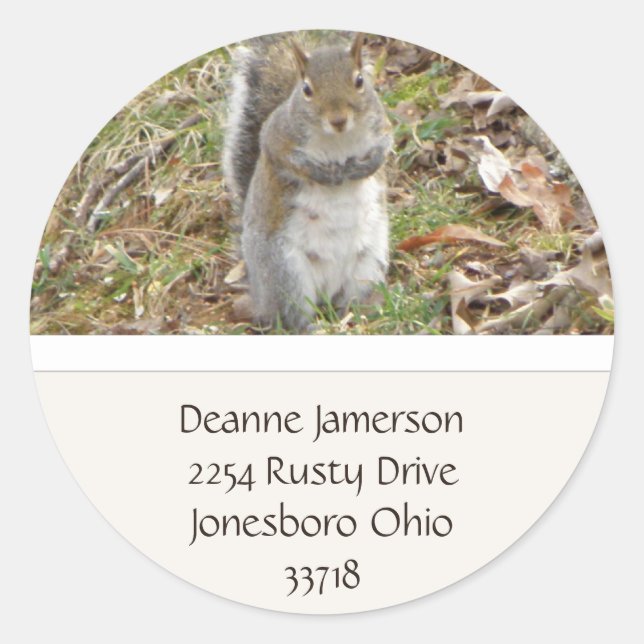 Squirrel Address Stickers (Front)