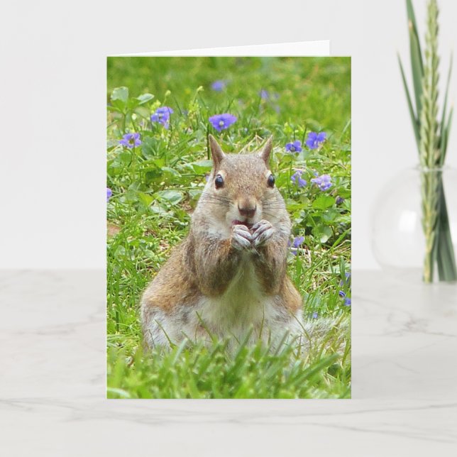 Squirrel Amongst Wild Violets Card (Front)