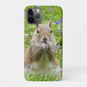 Squirrel Amongst Wild Violets iPhone 11 Pro Case