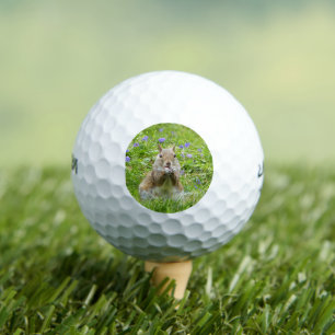 Squirrel Amongst Wild Violets Golf Balls