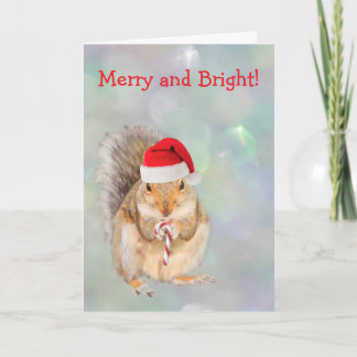 Squirrel and Candy Cane Christmas Holiday Card