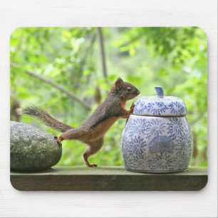 Squirrel and Cookie Jar Mouse Mat
