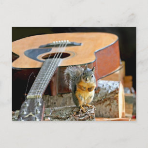 Squirrel and Guitar Postcard