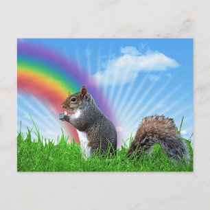 Squirrel and Rainbow Sky Postcard