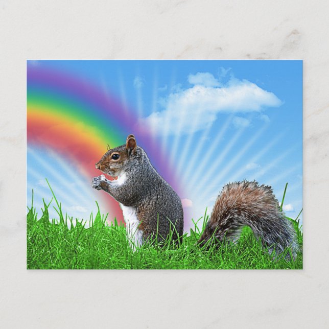 Squirrel and Rainbow Sky Postcard (Front)