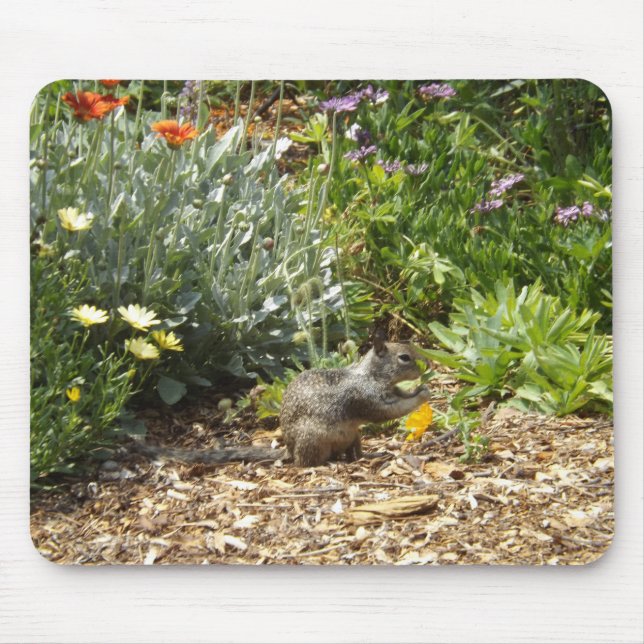 Squirrel and wild flowers mouse pad (Front)