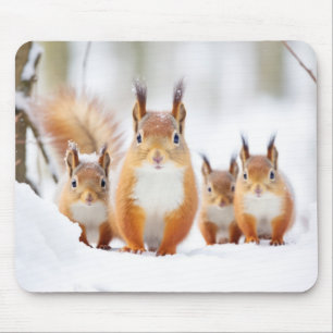 Squirrel Animal Family Wandering Nature Mouse Mat