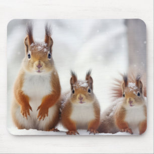 Squirrel Animal Family Wandering Nature  Mouse Mat