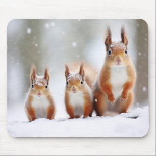 Squirrel Animal Family Wandering Nature  Mouse Mat