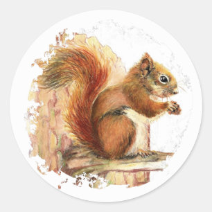 Squirrel Animal Nature  Wildlife, Watercolor Art Classic Round Sticker