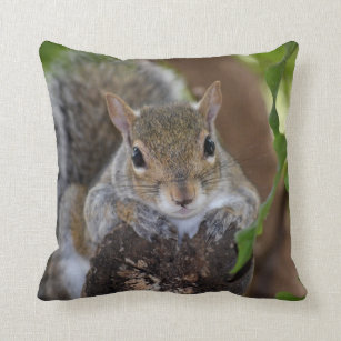 squirrel animal on log hanging out colour cushion